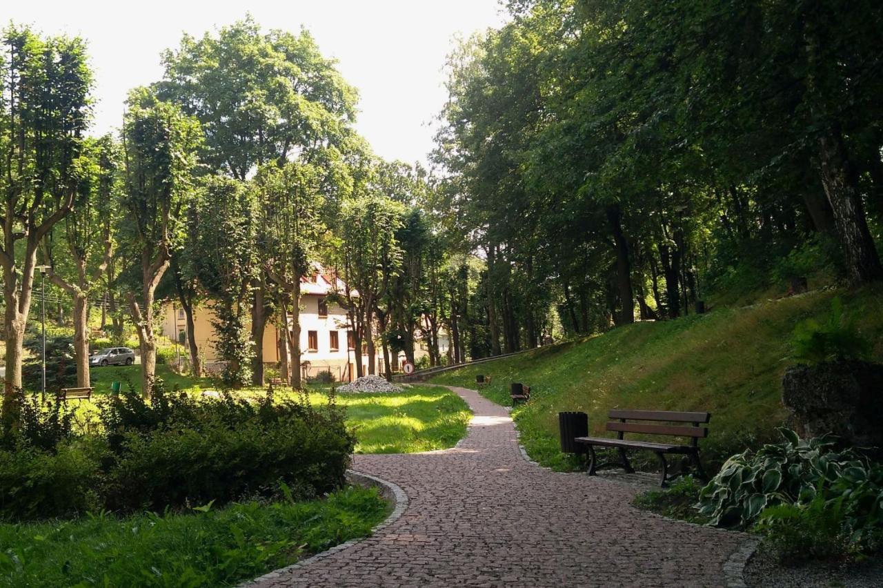 Apartamento Minisowa Jedlina-Zdroj Exterior foto