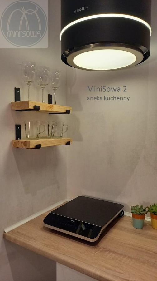 Apartamento Minisowa Jedlina-Zdroj Exterior foto